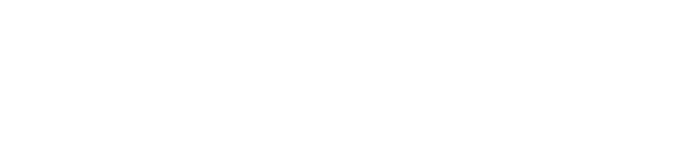 Accelity logo white