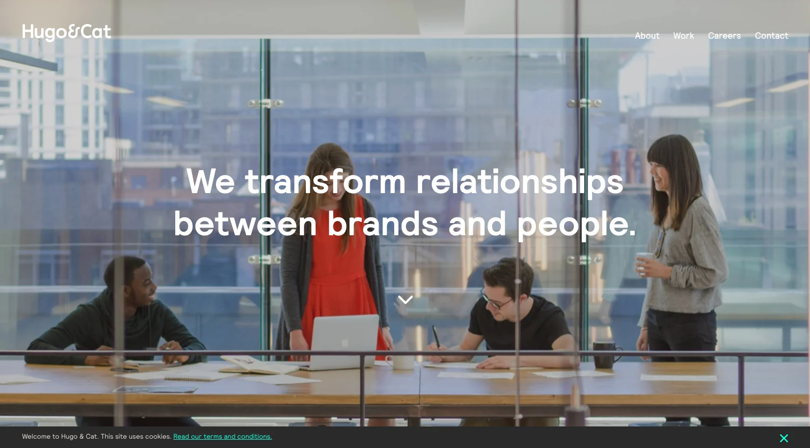 Small business graphic design - statement photography